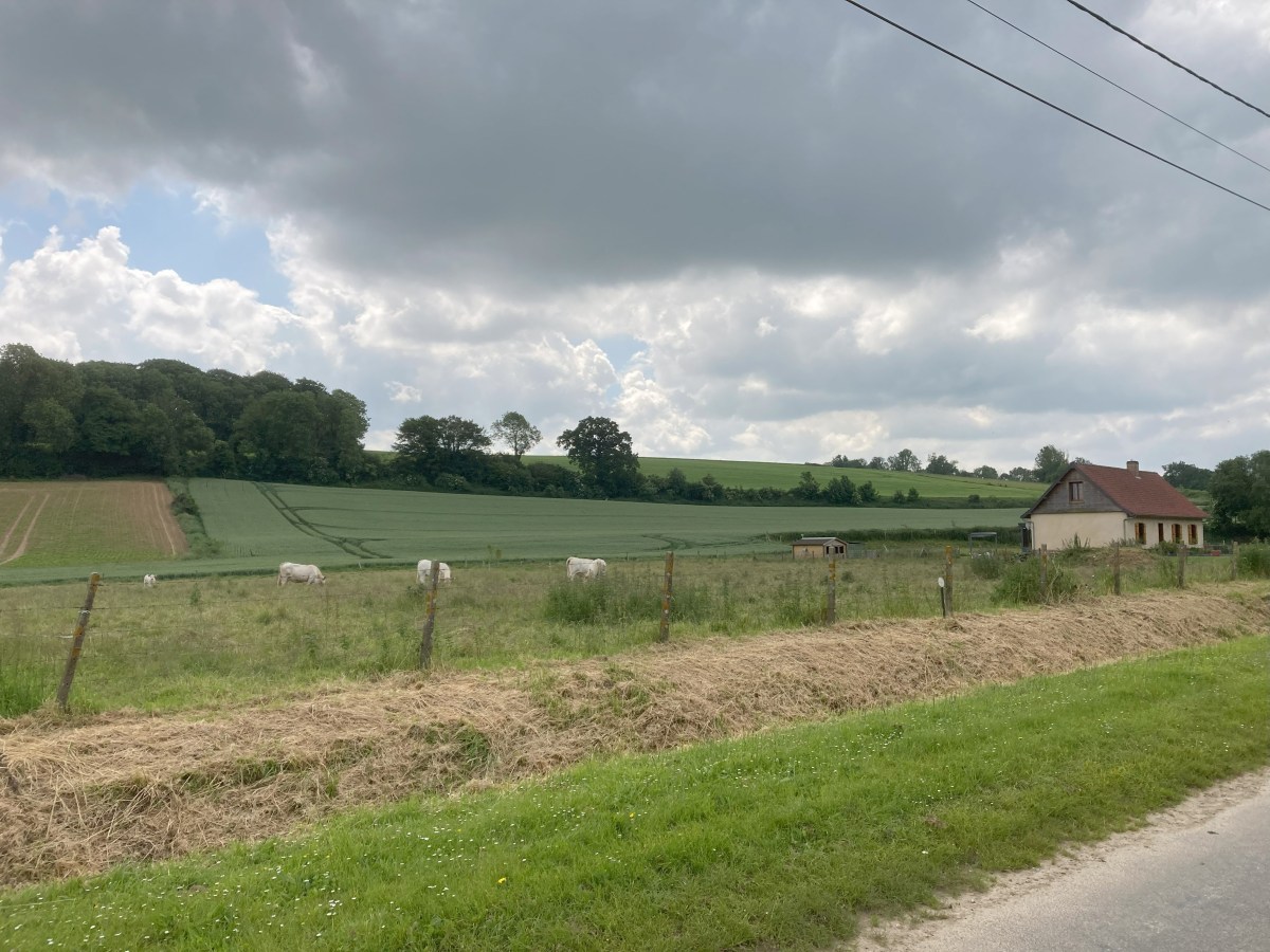 Vervroegde MRI en Vakantie&nbsp;(2)